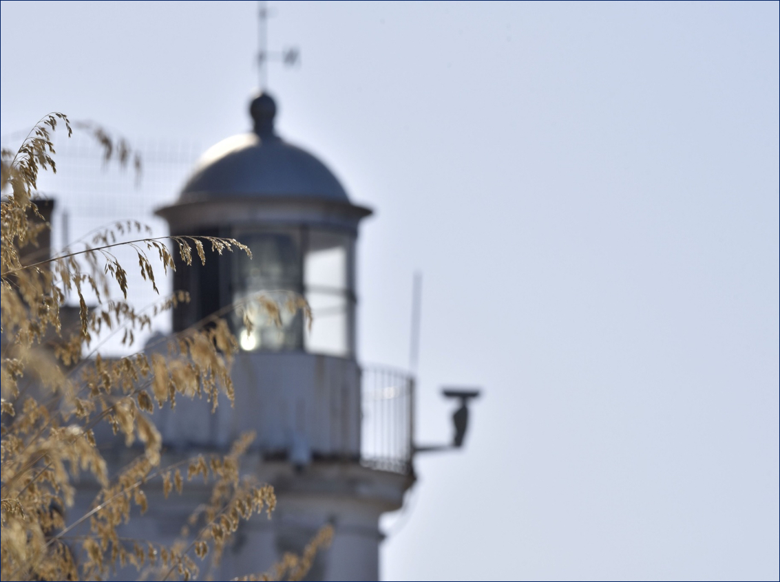 faro